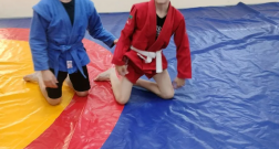 IMG_20260615_104444.png