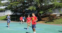 IMG_20260618_125512.jpg