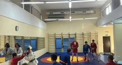 IMG_20260617_105411.jpg