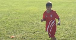 IMG_20260617_105213_1.jpg