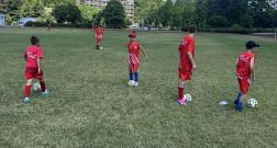 IMG_20260629_111739.jpg