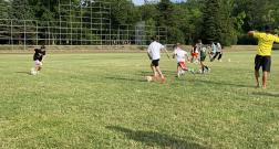 IMG_20260629_111932.jpg