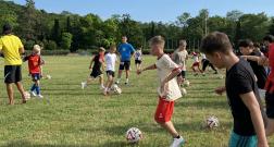 IMG_20260629_111931.jpg