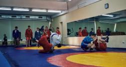 IMG_3409_1.jpg
