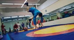 IMG_3418_1.jpg