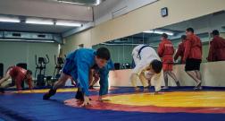 IMG_3431_1.jpg