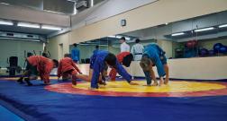 IMG_3439_1.jpg