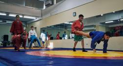 IMG_3467_1.jpg
