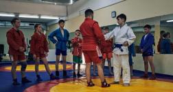 IMG_3481_1.jpg