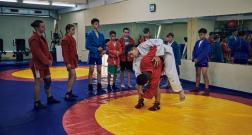IMG_3493_1.jpg