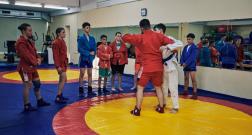 IMG_3494_1.jpg