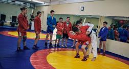 IMG_3495_1.jpg