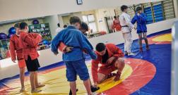 IMG_3527_1.jpg