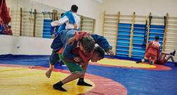 IMG_3522_1.jpg