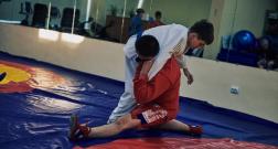 IMG_3537_1.jpg