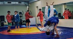 IMG_3533_1.jpg