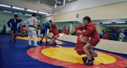IMG_3539_1.jpg
