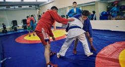 IMG_3544_1.jpg