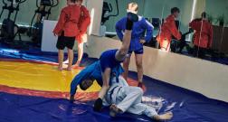 IMG_3545_1.jpg