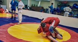 IMG_3549_1.jpg