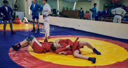 IMG_3551_1.jpg