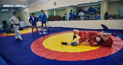 IMG_3555_1.jpg