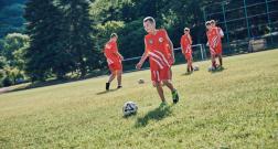 IMG_3081_1.jpg