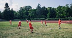 IMG_3105_1.jpg