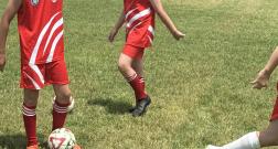IMG_20260629_163521.jpg