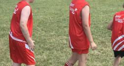 IMG_20260629_163529.jpg