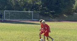 IMG_20260707_104400.jpg