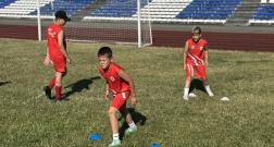 IMG_20260707_104408.jpg