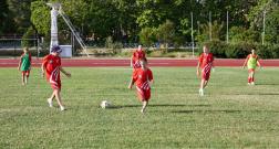IMG_1782_1.jpg