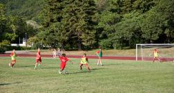 IMG_1784_1.jpg