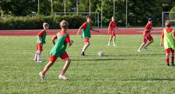 IMG_1800_1.jpg