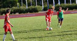 IMG_1808_1.jpg