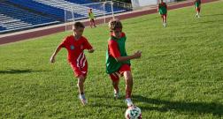 IMG_1821_1.jpg