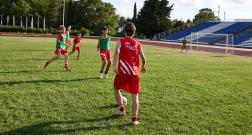 IMG_1850_1.jpg