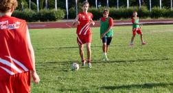 IMG_1864_1.jpg