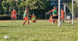 IMG_9774_1_1.jpg