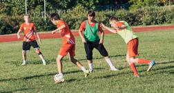 IMG_9715_1_1.jpg
